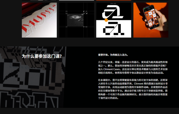 图片[6] 【ai精翻+朗读】变量类型:从实验性设计到品牌应用 