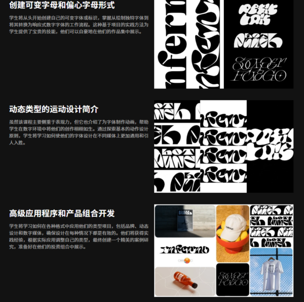 图片[9] 【ai精翻+朗读】变量类型:从实验性设计到品牌应用 