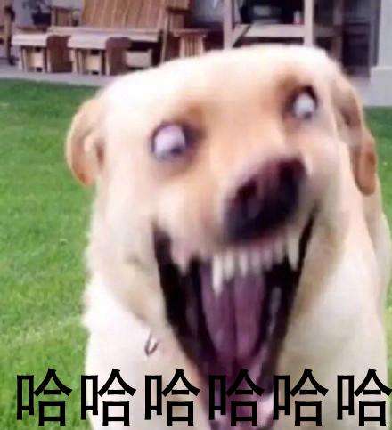 爱学习的超级老土狗 